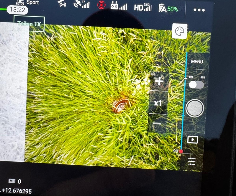 BSP_Thermografie_Rehkitz_800p